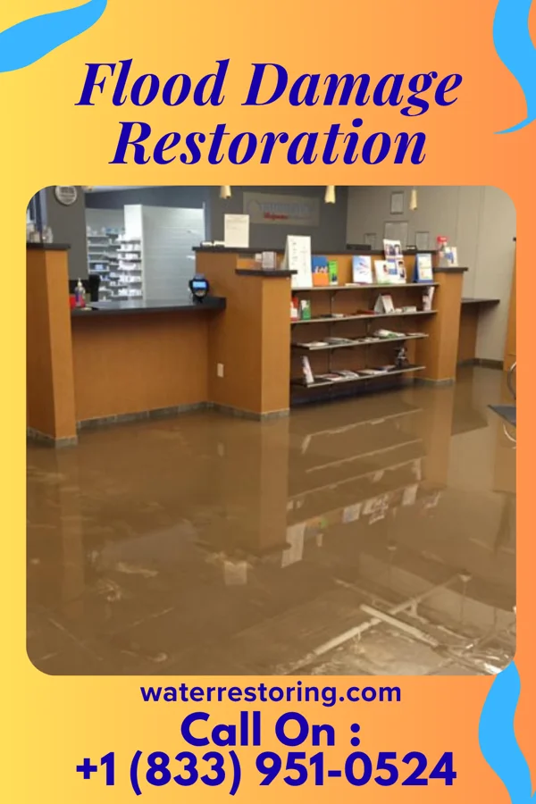 Flood Damage Restoration in South Mansfield, LA
