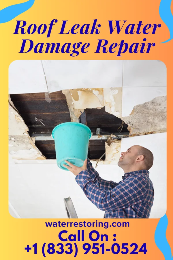 Roof Leak Water Damage Repair in South Mansfield, LA