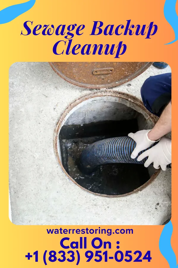 Sewage Backup Cleanup in South Mansfield, LA